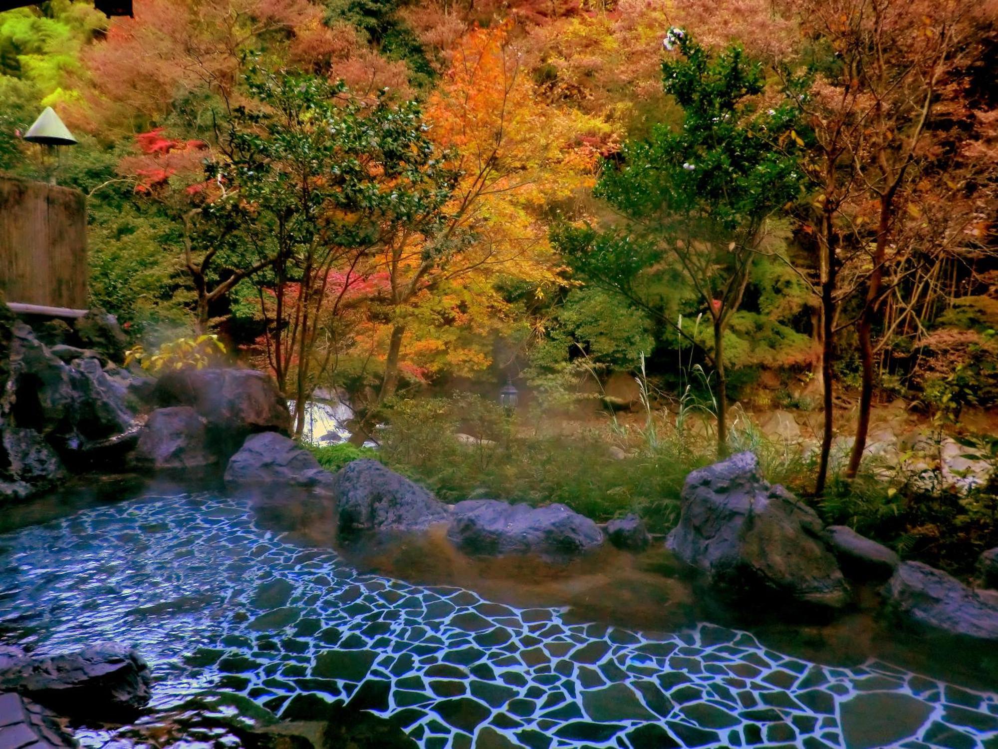 Shiunso Hotel Hakone Exterior foto